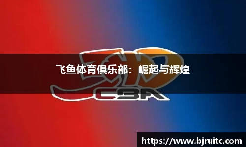 EMC易倍官网