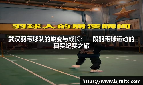 易倍emc体育网页版