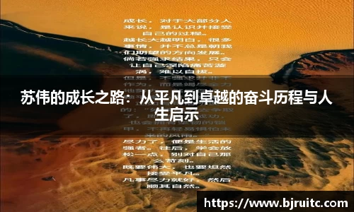 EMC易倍